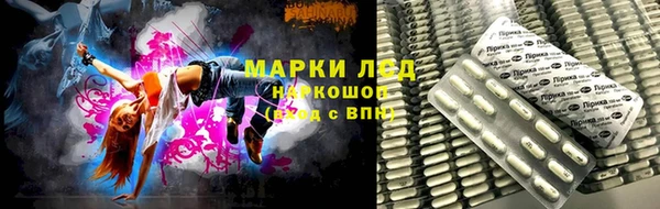 PSILOCYBIN Балахна