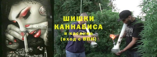 PSILOCYBIN Балахна